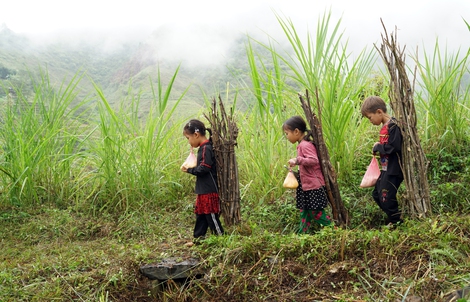 Thương lắm những đôi chân trần trên miền đá lạnh Khau Ản