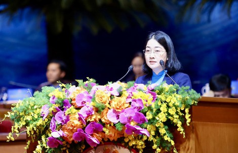 Sâu sắc hơn nữa vai trò đại diện, bảo vệ người lao động