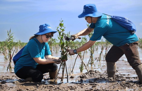 AQUA Việt Nam góp sức trồng rừng ngập mặn tại Sóc Trăng