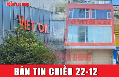 Bản tin chiều 22-12: Tình hình kinh doanh của Xuyên Việt Oil những năm gần đây ra sao?