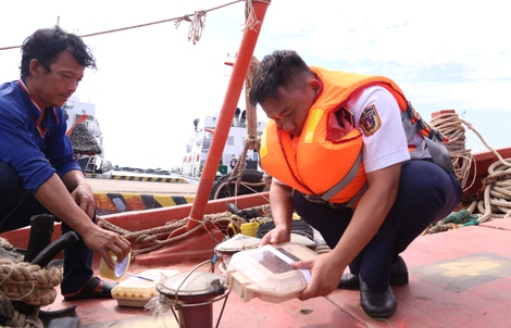 Vùng Cảnh sát biển 4 bắt giữ hàng chục tàu cá vi phạm