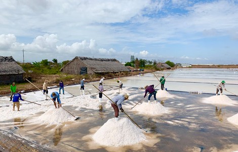 Nâng tầm muối Bạc Liêu