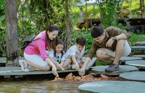 Yang Bay- mùa hè rực rỡ