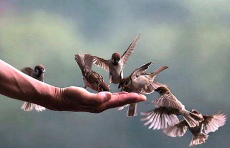 Có nhiều cách thể hiện lòng tốt