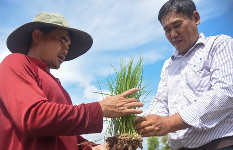 Xây dựng đội ngũ trí thức đủ trí tuệ, bản lĩnh
