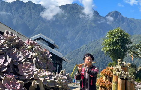 Fansipan, Sa Pa tưng bừng tổ chức lễ hội hoa sen đá trong ngày kích cầu du lịch lớn nhất năm 2024