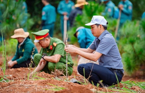 Làm thay đổi diện mạo vùng cao Kon Plông