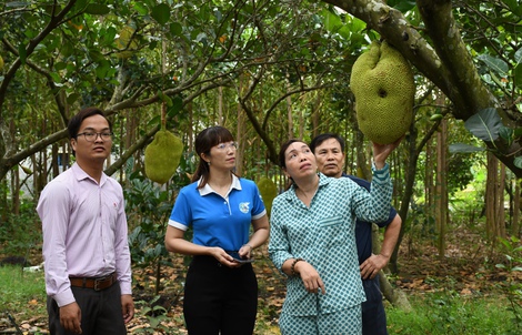 Phát huy vai trò của các tổ chức chính trị - xã hội trong ủy thác cho vay