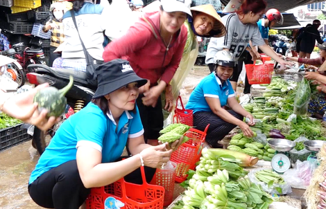 VIDEO: Phú Yên giải quyết vấn nạn rác thải nhựa