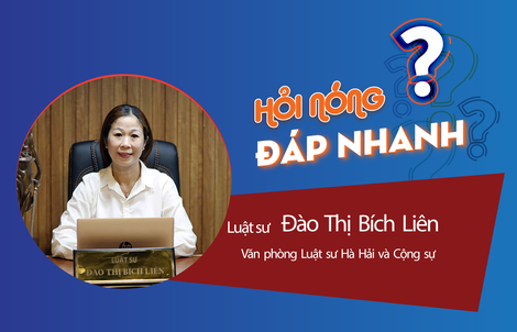 Từ 1-1-2025, người dân có cần đổi giấy phép lái xe cũ theo mẫu mới?