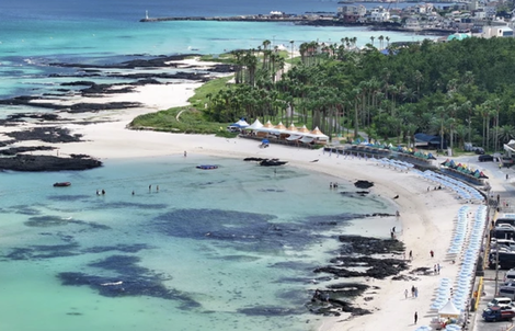 38 trong số 80 người Việt đến đảo Jeju của Hàn Quốc không lên máy bay về nước