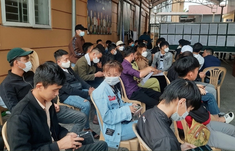 Tránh bẫy lừa khi sang Hàn Quốc làm việc