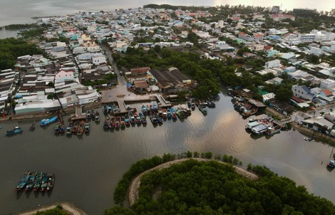Thu hút đầu tư cho kinh tế xanh Cần Giờ