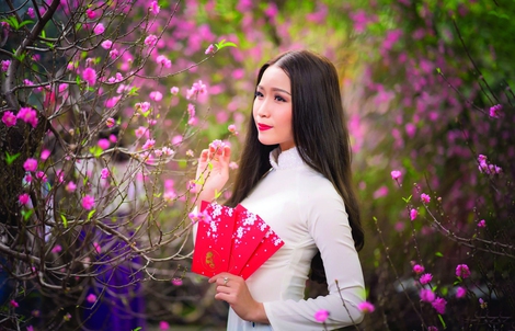Hoa lá đường xuân