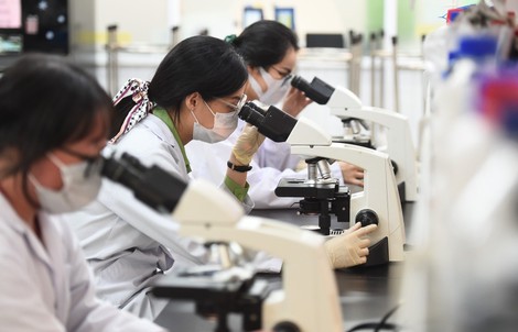 Lương chuyên gia cao cấp sẽ tương đương với lương bộ trưởng
