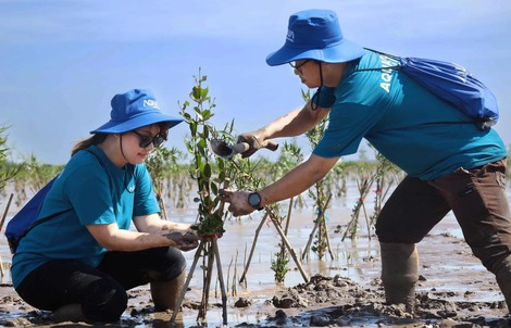 “AQUA Chăm - Trăm sức dưỡng sống” được vinh danh là chiến dịch marketing vì phát triển bền vững