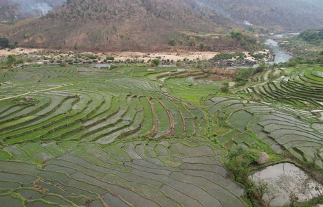 Ruộng bậc thang xanh mướt ở huyện biên cương Thanh Hóa