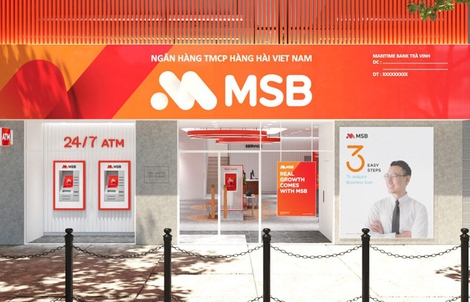 Bắt nữ giám đốc Ngân hàng MSB Thanh Xuân lừa đảo 338 tỉ đồng