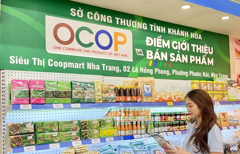 Co.opmart, Co.opXtra ưu đãi khách hàng thành viên, giới thiệu hàng OCOP mừng ngày Hợp tác xã Việt Nam