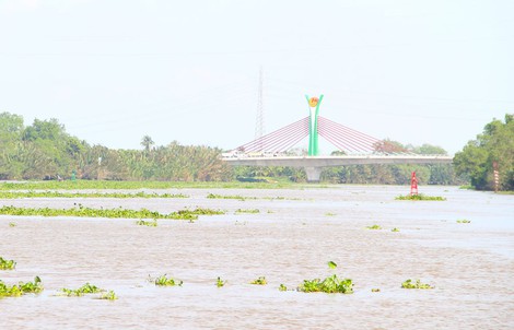 NÓNG: Xả hơn 7 triệu m³ nước hồ Dầu Tiếng về sông Vàm Cỏ Đông để đẩy mặn