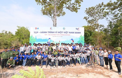 2.700 cây lim được trồng tại tỉnh Bà Rịa Vũng Tàu cho Việt Nam thêm xanh