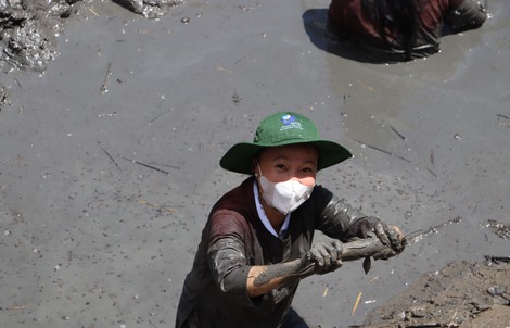 CLIP: Đã mắt khi xem người dân quậy bùn bắt cá lóc đồng ở U Minh
