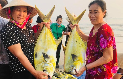 Ngư dân Hà Tĩnh “trúng” mẻ cá vàng dương, thu về hơn 300 triệu đồng