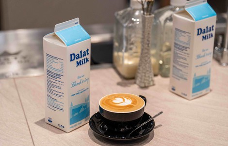 Dalatmilk: Sữa tươi pha chế hàng đầu dành cho barista