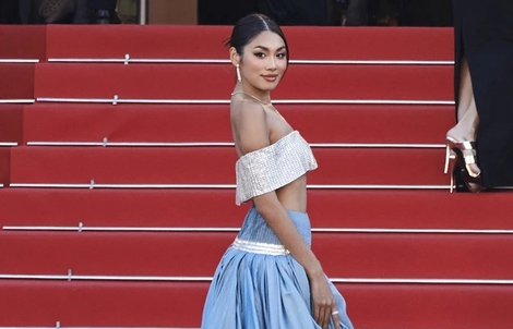 Những người đẹp Việt từng đến Cannes