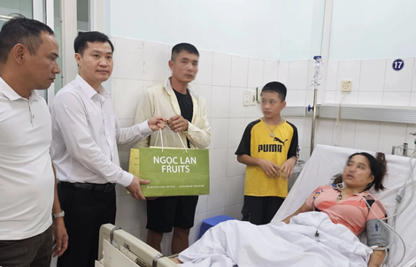 Dừng đèn đỏ, 3 mẹ con bị đàn ong từ khách sạn bay ra đốt, phải nhập viện