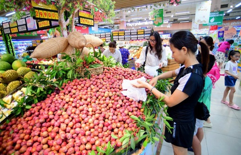 Saigon Co.op bán hết 10 tấn mận hậu trong ngày đầu Lễ hội mận hậu và nông sản Sơn La