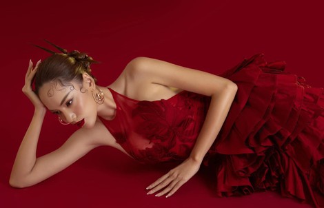 Lê Hoàng Phương thắng kiện nhưng bị bạo lực mạng