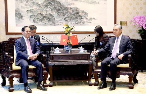 Bộ trưởng Bùi Thanh Sơn hội kiến Bộ trưởng Ngoại giao Trung Quốc Vương Nghị
