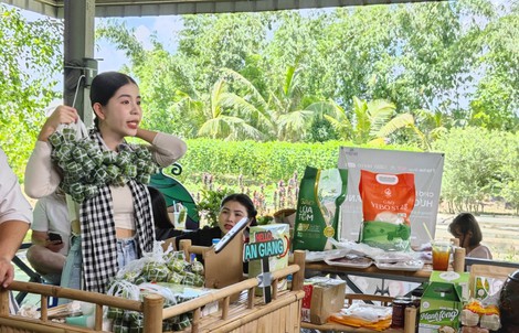 Lần đầu tiên nông dân An Giang chứng kiến hàng chục TikToker nổi tiếng cùng livestream bán hàng OCOP