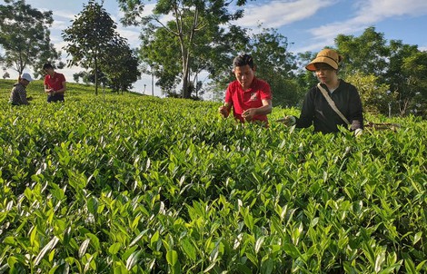 Ưu tiên "gieo" vốn tam nông, đồng lòng phát triển bền vững cùng đất nước