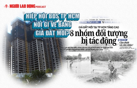 Hiệp hội BĐS TP HCM nói gì về bảng giá đất mới?