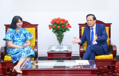 Rumani: Lựa chọn mới của lao động Việt Nam