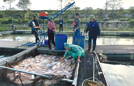 Tăng sức đầu tư vốn cho lĩnh vực "Tam nông"