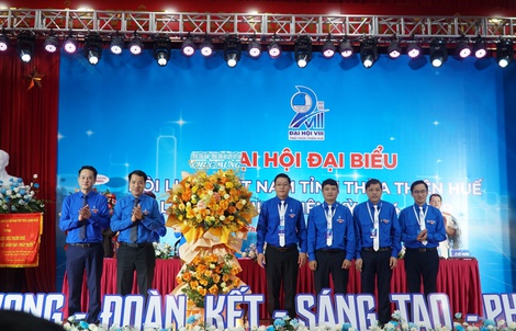 Thanh niên Thừa Thiên - Huế có hơn 22.677 ý tưởng sáng tạo