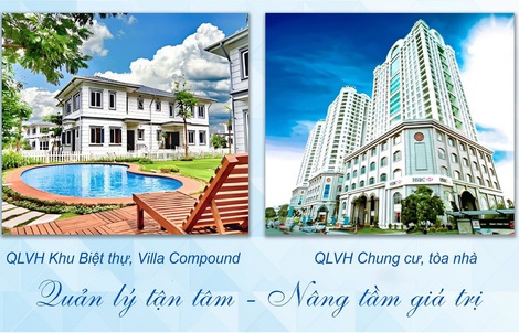 Blue Diamond và CBNV gửi tấm lòng “Thương về miền Bắc”