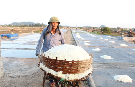 Làm giàu từ hạt muối, trả nợ diêm dân