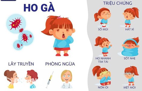 Bé gái 4 tuổi tử vong ở Đồng Nai: Do bệnh ho gà