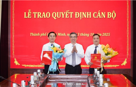 Ông Trần Thế Thông và ông Đinh Xuân Hải được bổ nhiệm làm Thư ký Bí thư Thành ủy TP HCM