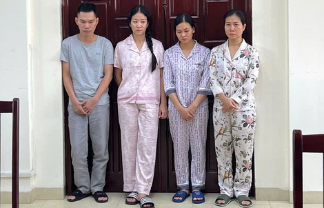 Bắt nữ tổng giám đốc "hô biến" hàng chục tấn thịt trâu Ấn Độ thành bò Nhật Wagyu