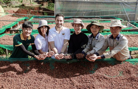 Giá cà phê lên đỉnh, trả công 1 triệu/ngày vẫn thiếu người hái