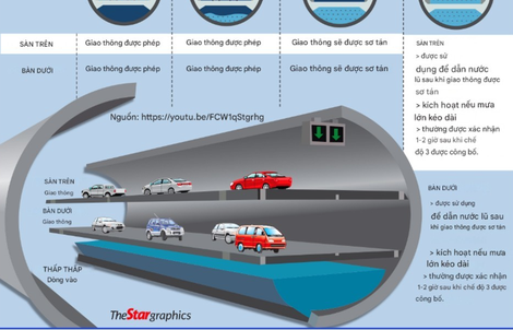 Tập đoàn Đèo Cả đề xuất giải pháp hầm lưỡng dụng TBM giúp giảm ngập