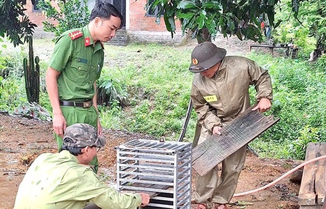 Bắt được con vật "mặt đỏ như gấc", người dân trình báo chính quyền
