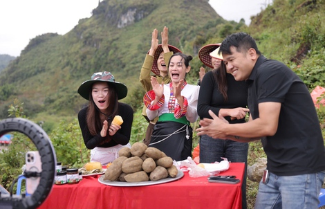 “Thủ lĩnh” cộng đồng nhà bán hàng khoai sâm đất Sìn Hồ trên TikTok Shop