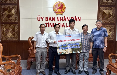 Hơn 90 tỉ đồng ủng hộ Gia Lai khắc phục hậu quả bão số 13 