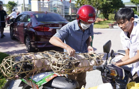 Giảm nghèo bền vững: Bài học kinh nghiệm từ những mô hình hay của thành phố Huế
